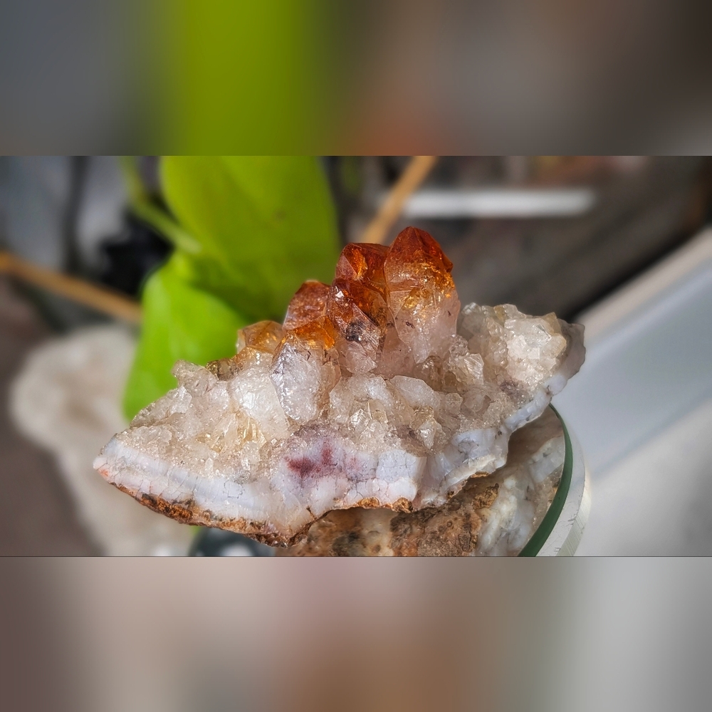 Citrine Quartz Crystal Cluster
